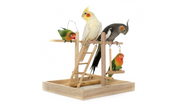 Bird Accessories