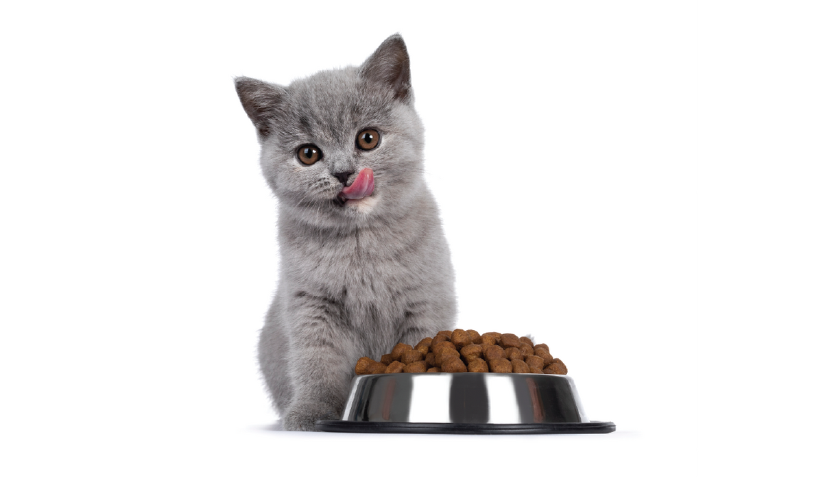 Dry Foods