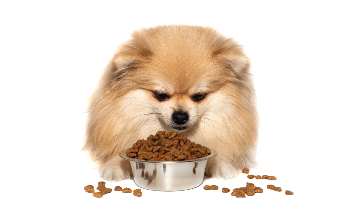 Dry Foods