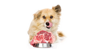 Dog - Frozen Foods - Frozen