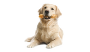 Dog Treats