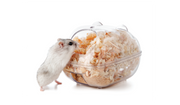 Small Animal Bedding