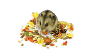 Small Animal Foods