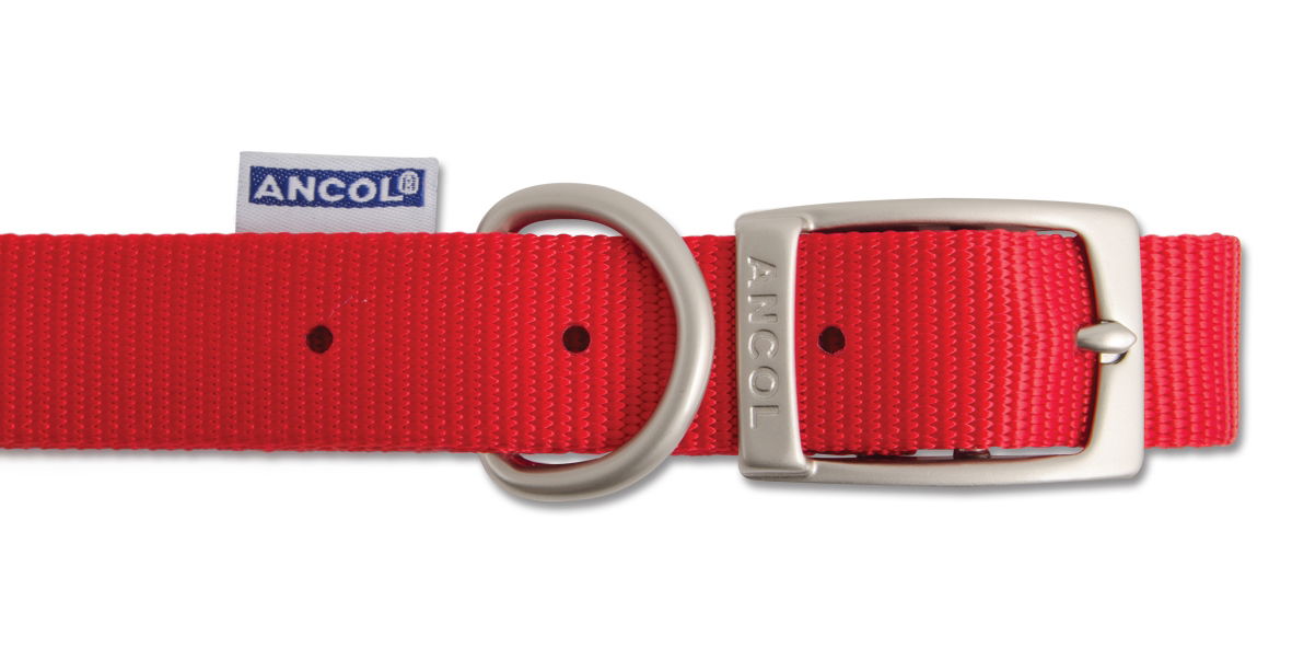 Viva Nylon Buckle Collar Red 15mm X28-36cm Sz3