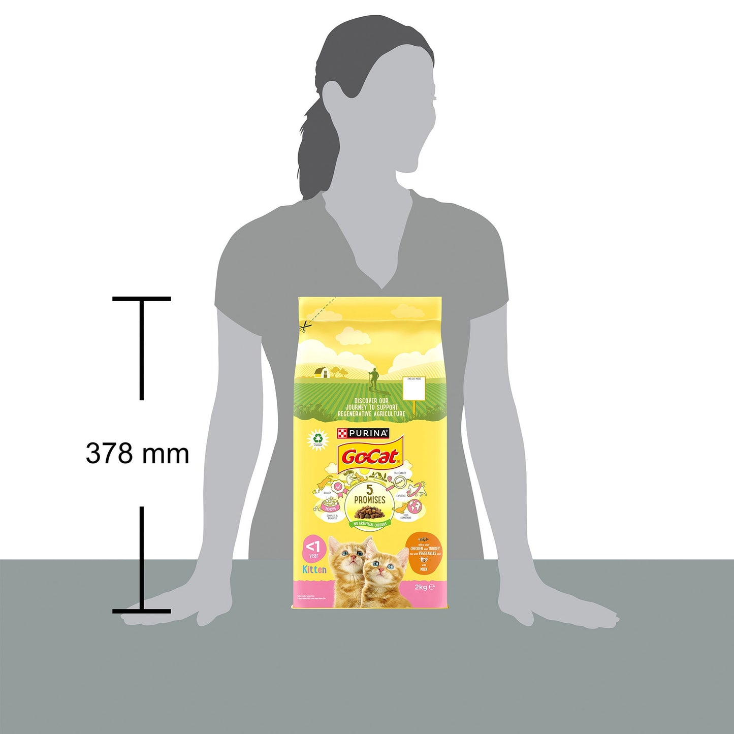 Go-Cat Kitten With Chicken Milk & Vegetables 2kg