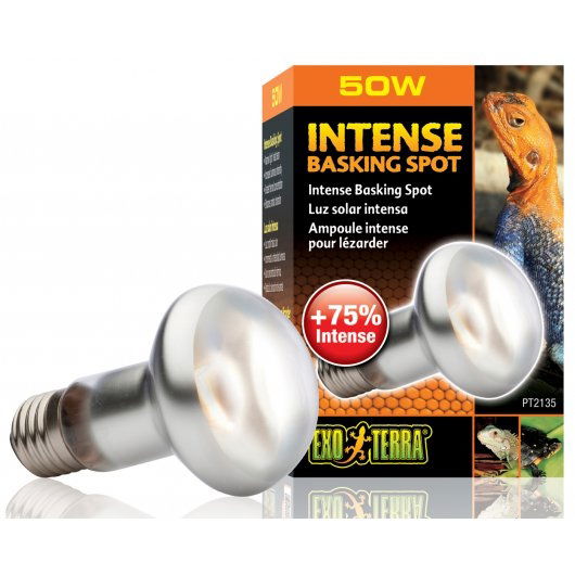 Exo Terra Intense Basking Spot S25 100w