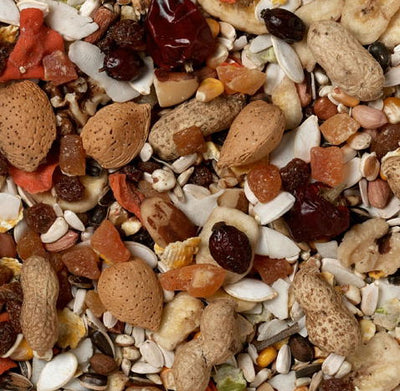 J&j Large Parrot Low Sunflower Blend 2kg