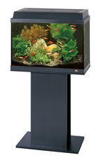 Flat Pack Stand Rekord 600/700 Korall 60 Beech 51x31x63cm