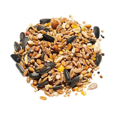 Countrywide Wild Bird Garden Mix 20kg