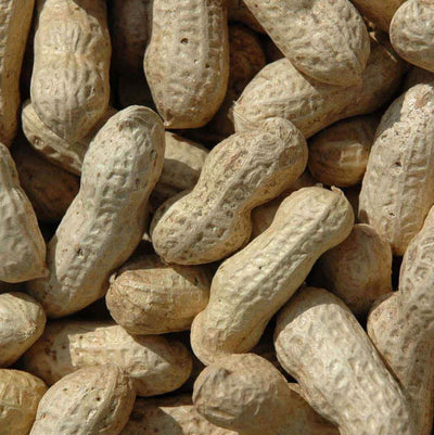 J&j Monkey Nuts 650g