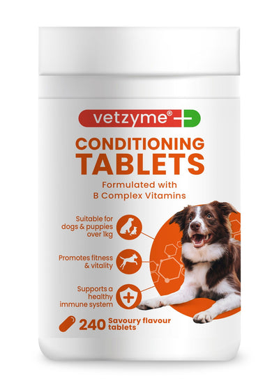 Vetzyme Dog Conditioning 240 Tablets