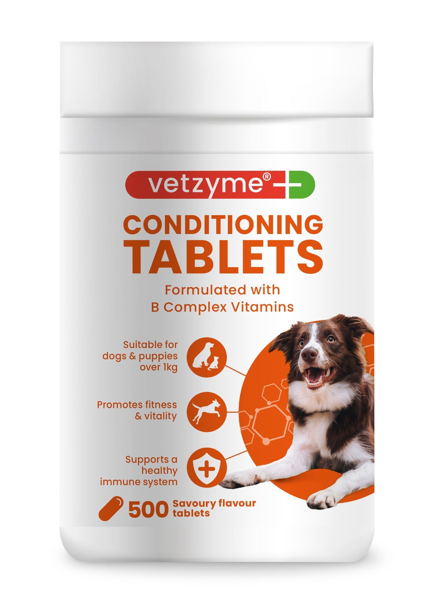 Vetzyme Dog Conditioning 500 Tablets