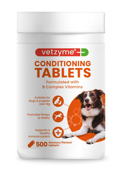 Vetzyme Dog Conditioning 500 Tablets