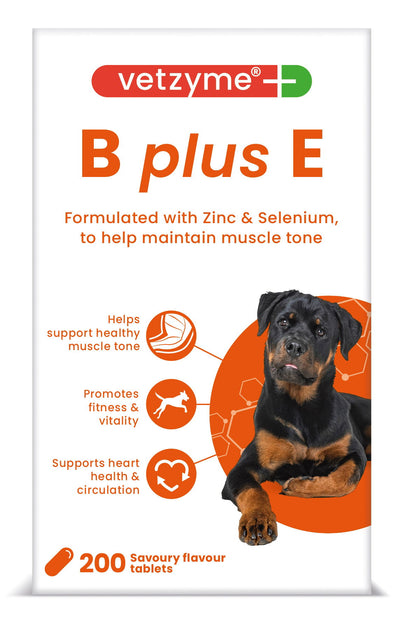 Vetzyme Dog B + E 200 Tablets