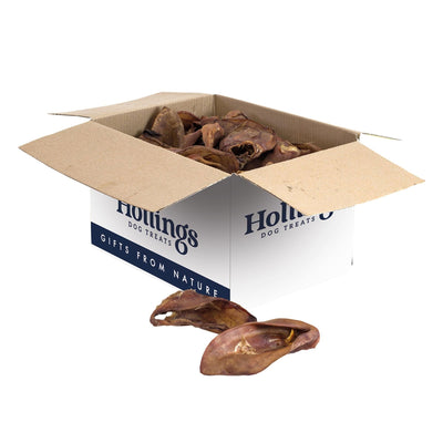 Hollings Pigs Ears Bulk (50)
