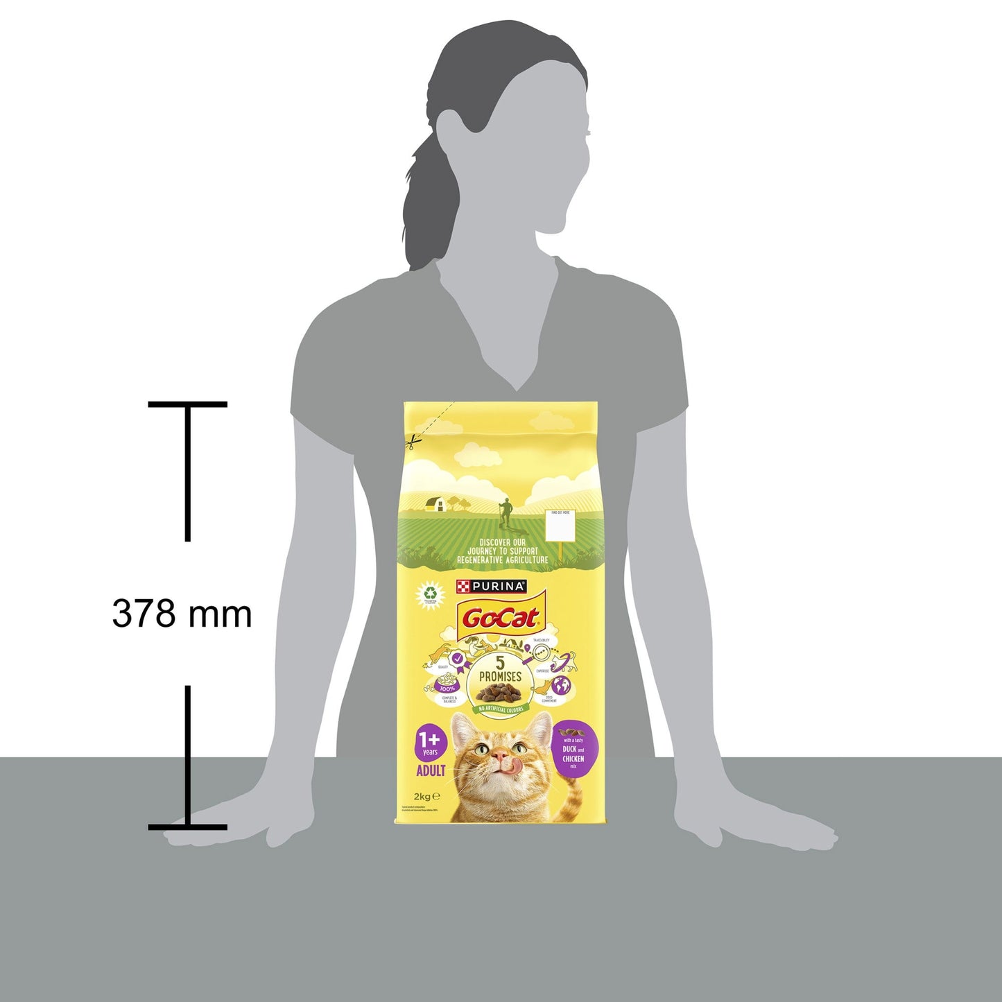 Go-Cat Adult Cat With Chicken & Duck 2kg