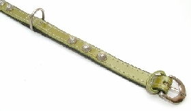 Puppies Cone Leather Collar Green 15mm X 35cm