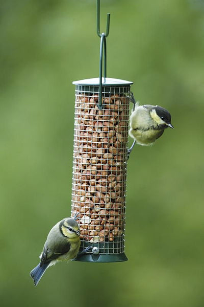 Cj Discovery Plastic Hanging Peanut Feeder Green 21cm