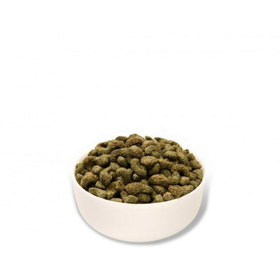 Mr Johnson's Advance Guinea Pig 1.5kg