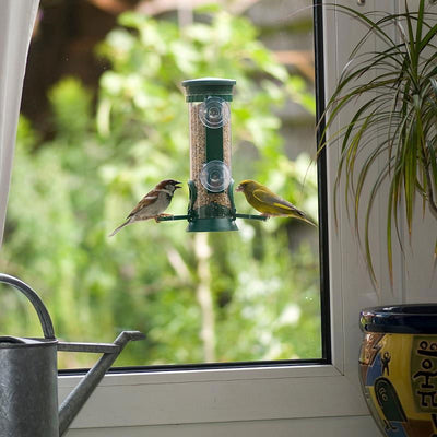 Cj Discovery Plastic Window Seed Feeder Green 2 Port 21cm