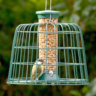 Cj Guardian Peanut Feeder Pack Green Sml