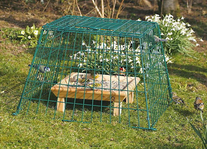 Cj Ground Guard Lge Mesh Green