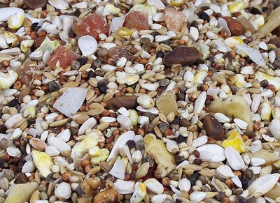 J&j Lge Parrot Low Sunflower Mix 12.75kg