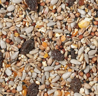 J&j Superior Wild Bird Seed 20kg