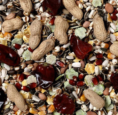 J&j No.1 Parrot Mix New Formula 2kg