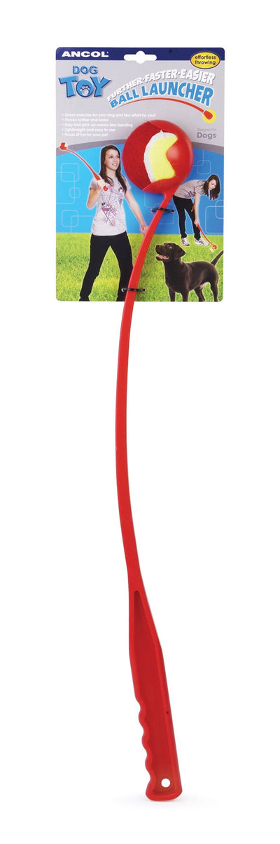 Tennis Ball Launcher Assorted 62cm