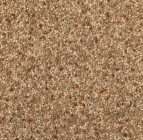 J&j Expert Budgie Seed 20kg