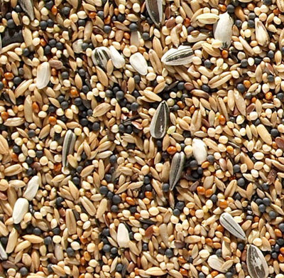 J&j Canary Favourite Mixed Seed 20kg
