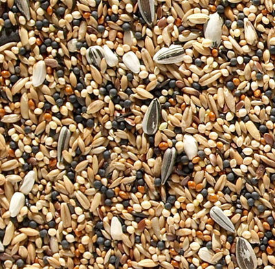 J&j Foreign Finch Seed 20kg