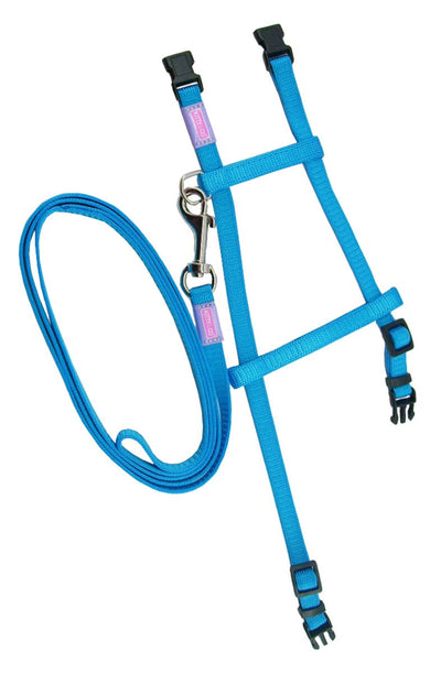 Kitty&Co Nyl Adj Cat Harness&Lead Set Astd 9mm X30-40cm