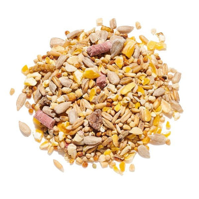 Countrywide Robin & Songbird Mix 15kg