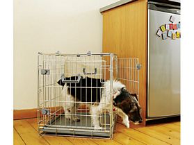 Options Two Door Dog/pup Home Large 91 X 64 X 69cm
