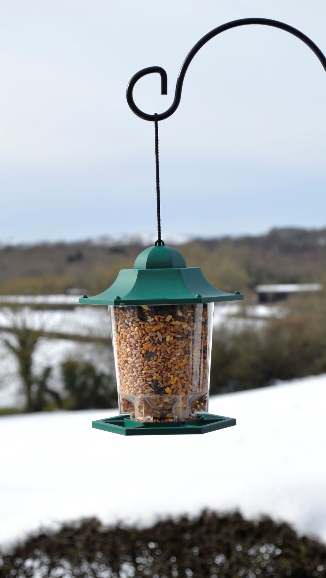 Supa Plastic Lantern Seed Feeder Green