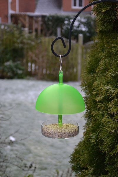 Supa Robin & Small Bird Feeder