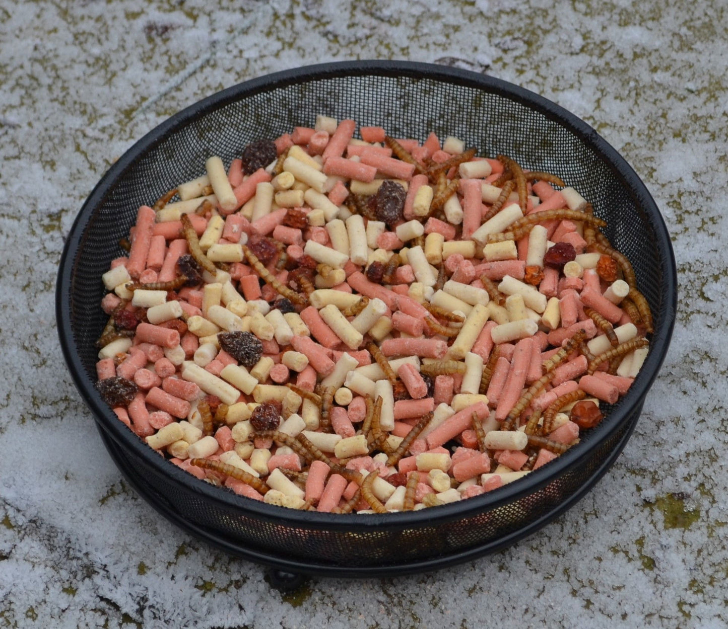 Supa Mealworm Platter 3ltr