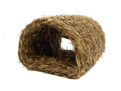 Natures First Grassy Tunnel