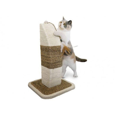 Natural Scratchers Rimini