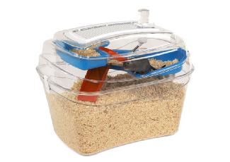 Options Small Animal Abode Gerbilarium