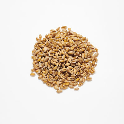 Countrywide Poultry Wheat 20Kg