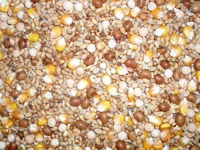 J&j Pigeon Four Season Mix 20kg