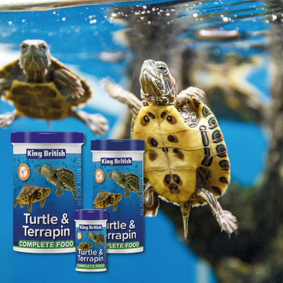 King British Turtle & Terrapin Complete Food 20g