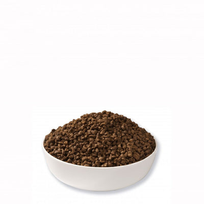 Mr Johnson's Advance Ferret 2kg