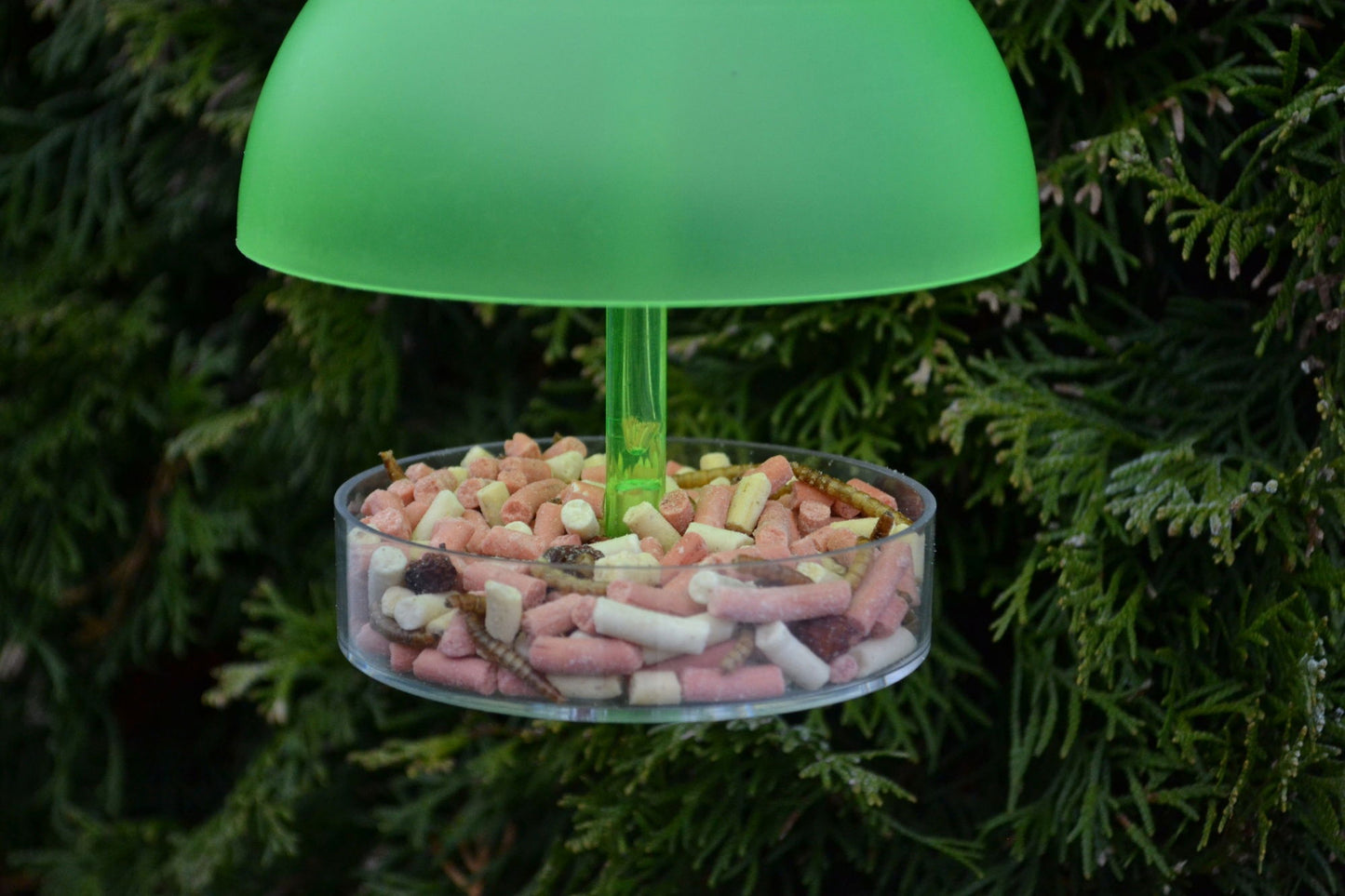 Supa Robin & Small Bird Feeder