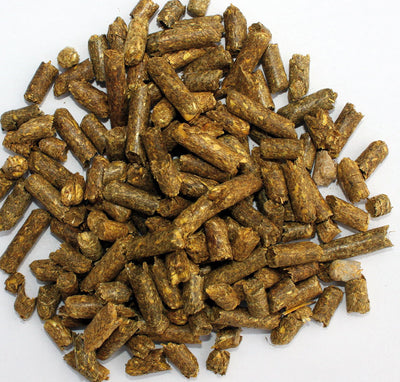 Pettex Reptile Substrate - Herbivore&Tortoise Bedding 10lt