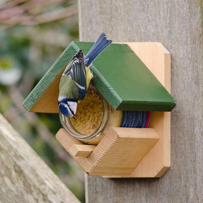 National Trust Dublin Peanut Butter Feeder