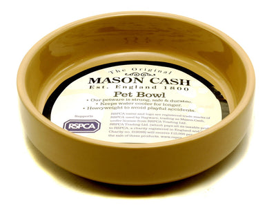 All Cane Cat Drinking Saucer 13cm (5")